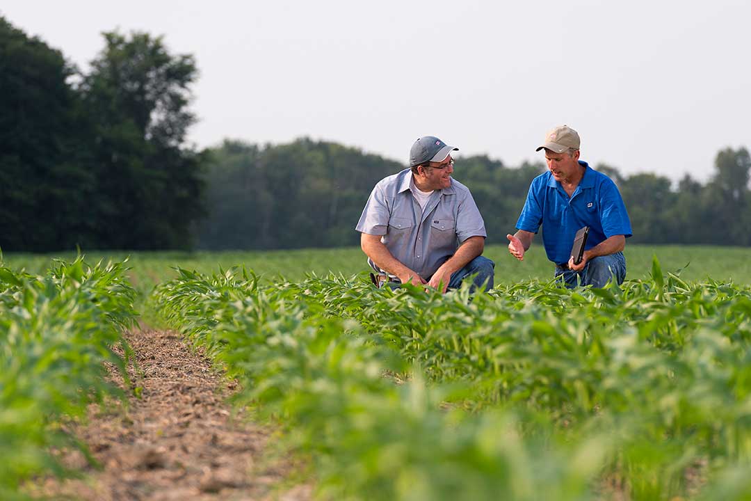 Farmer and Crop Specialist Consulting in a field